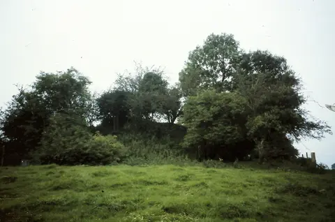 Castleruddery Motte