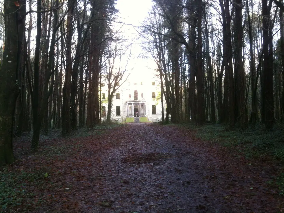 Moore Hall from the avenue.