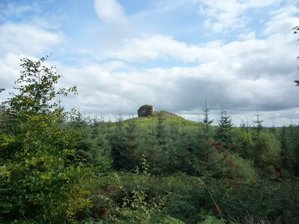 20120820 27 Ireland - Co. Sligo - Coolaney