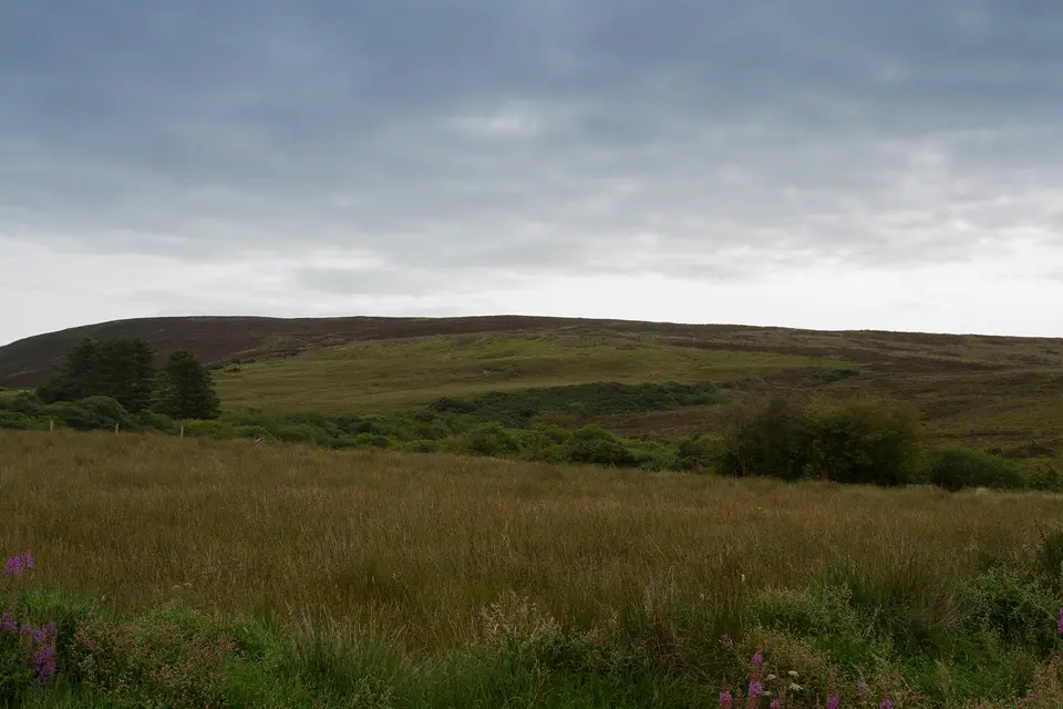 A moorland view