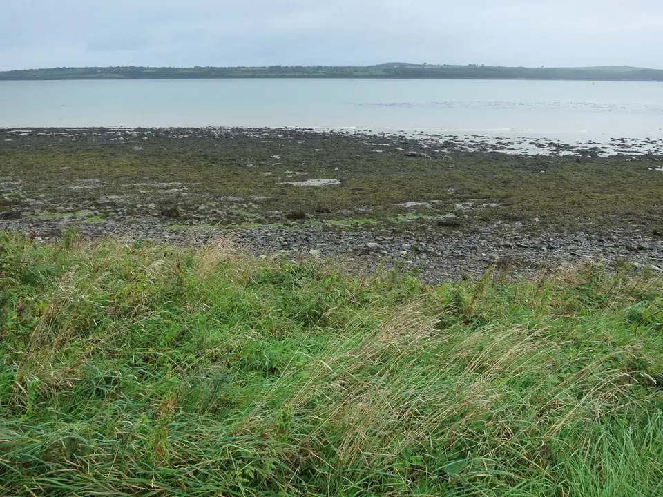 A view across the Shannon
