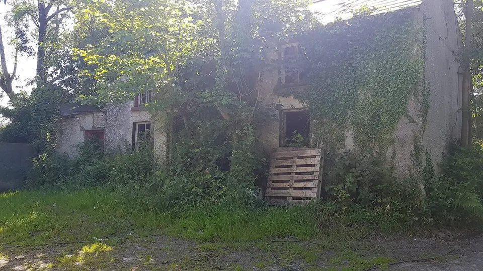 House in Coolmannan, Doohamlet, County Monaghan that has clearly been uninhabited for a significant period of time, being covered by weeds and with missing glass