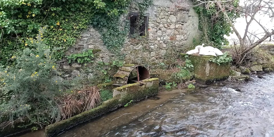 A small abandoned millwheel off Turfmarket in Graiguenamanagh, formerly driven by the Duiske River.