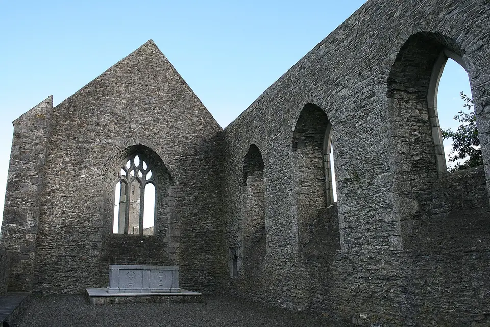 Aghaboe, County Laois, near to Aghaboe, Kilcotton, Boherard, Corraun and Badgerisland, Laois, Ireland. Aghaboe Abbey, founded in 577.