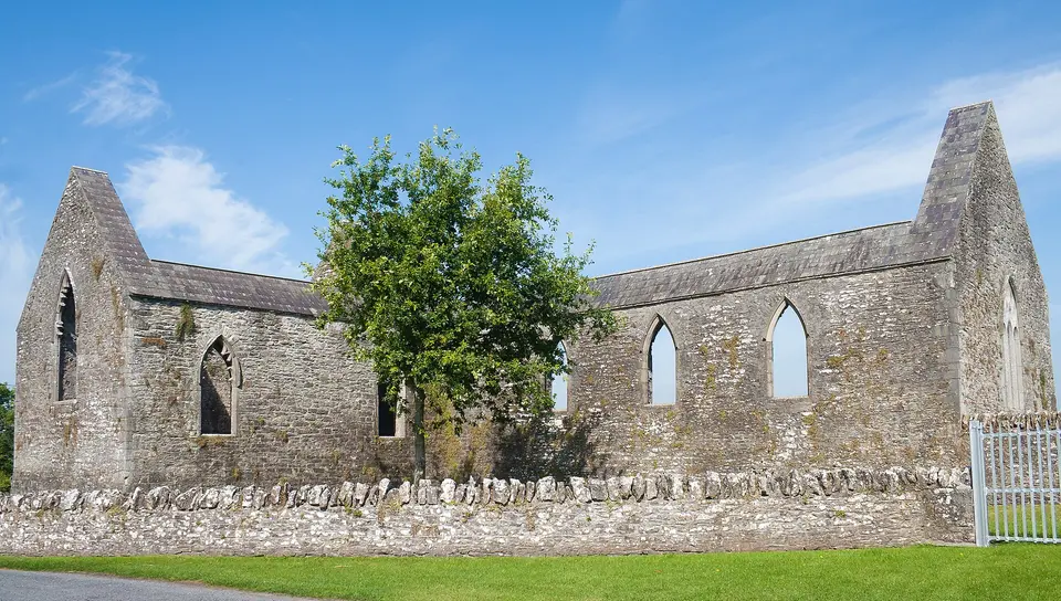 Aghaboe Priory of St. Canice SE 2010 09 02