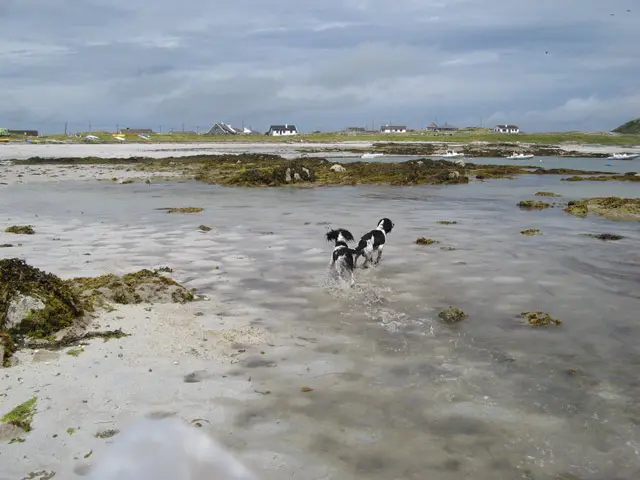 Aillebrack Bay