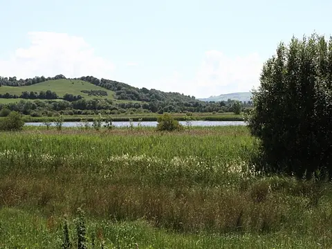 Annagh Lake Reed beds at tiny Annagh Lake close to the eastern shore of Lough Derg.