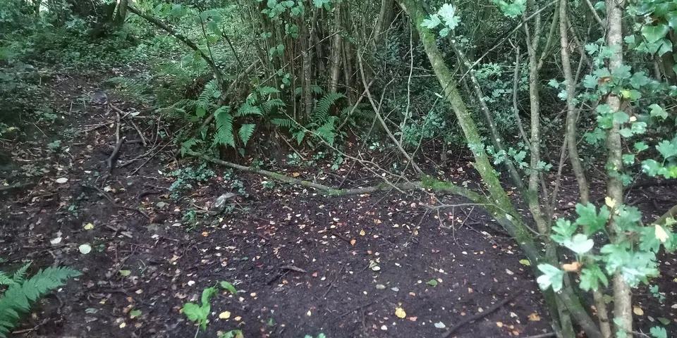 Area of St. Finan's Well