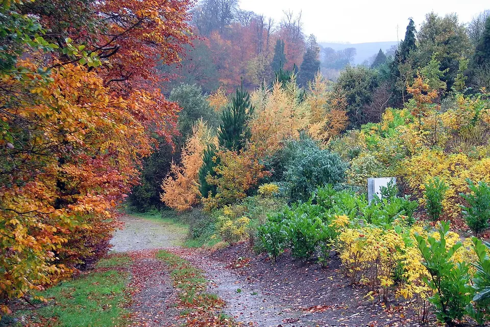 Autumn in Newtownmountkennedy, County Wicklow