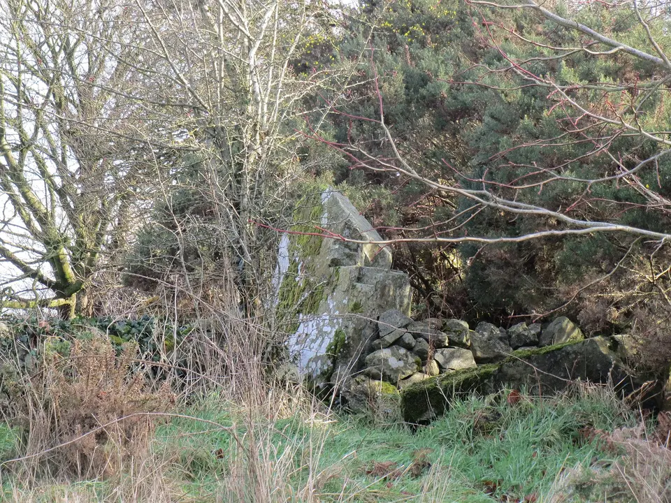 Ballaghanea - Portal Tomb