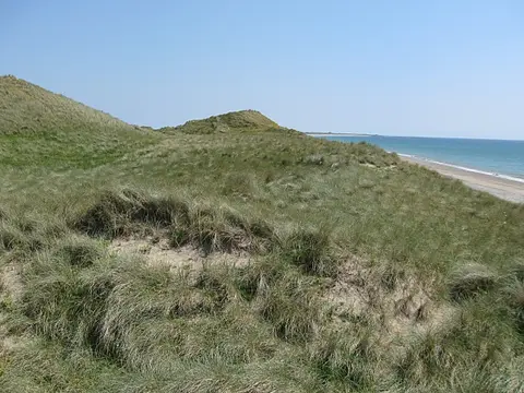 Ballteige Burrow The highest dune (14m) at Ballyteige Beach.