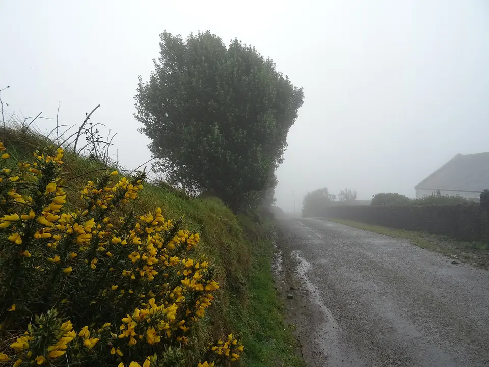 Bally's Cross Roads