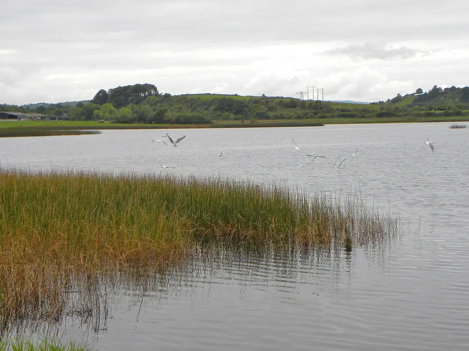 Ballyallia Lough