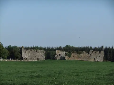 Ballyboggan Priory (Monastery) ruins