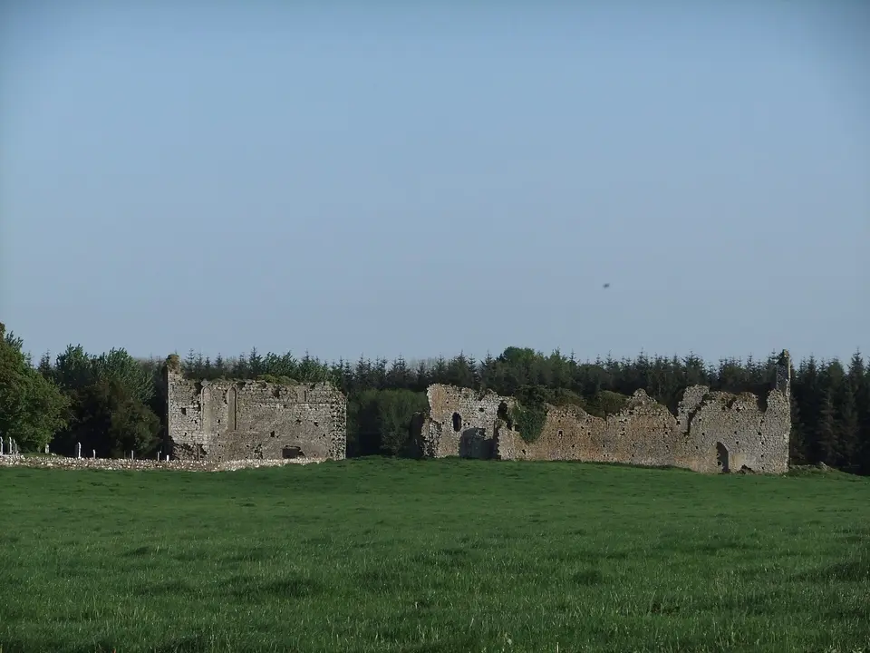 Ballyboggan Priory (Monastery) ruins