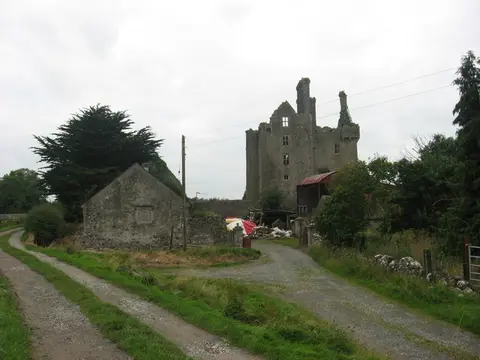 Ballycowan Castle, Co. Offaly geograph.org.uk 942610