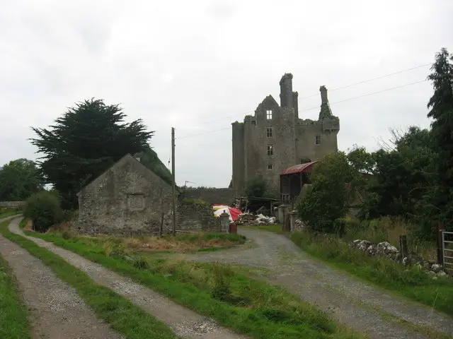 Ballycowan Castle, Co. Offaly geograph.org.uk 942610