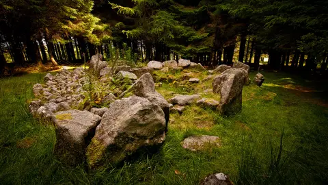 Ballyedmonduff Wedge Tomb