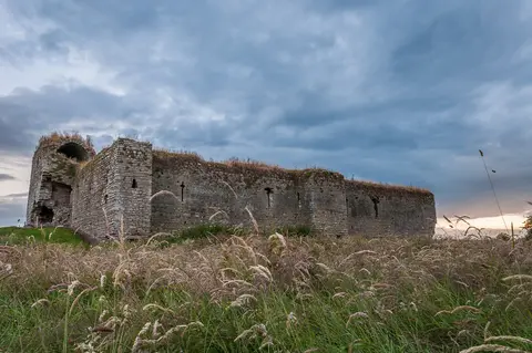 Ballymoon Castle, Near Bagenalstown, County Carlow