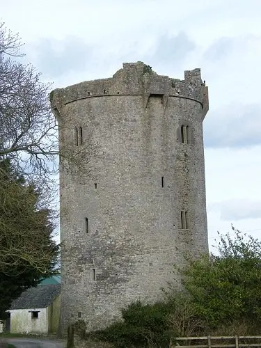 Ballynahow Castle 16th Century round castle with mural stairway and fireplaces on first and fourth floors. Stone ceilings on ground and third floors