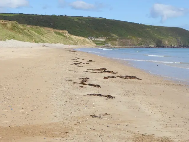 Ballyquin Strand