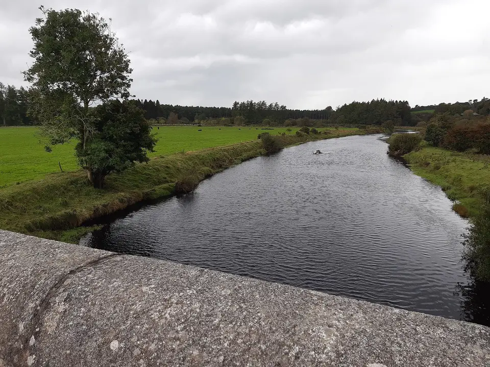 Looking west. Carries the road over the River Liffey. Originally built in 1813. Partially destroyed in Hurricane Charley (1986). Rebuilt in 1993.