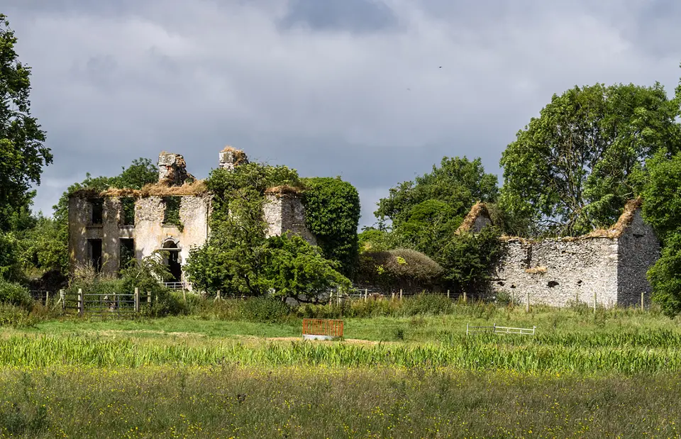 Battlemount House, Narraghmore, Co. Kildare (1)