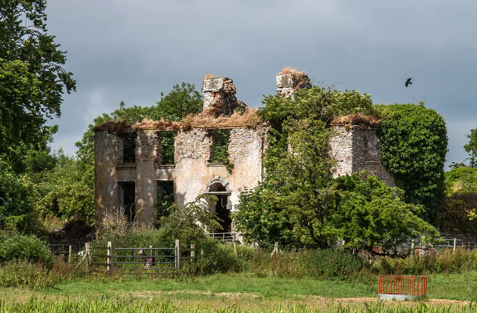 Battlemount House, Narraghmore, Co. Kildare (2)