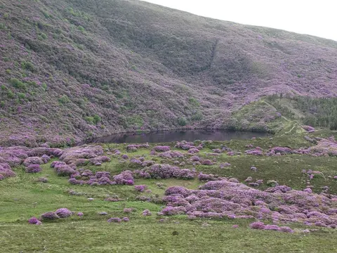 Bay Lough