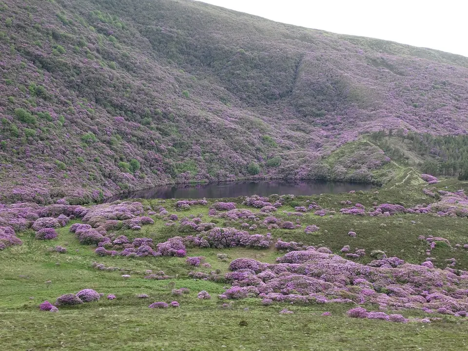 Bay Lough