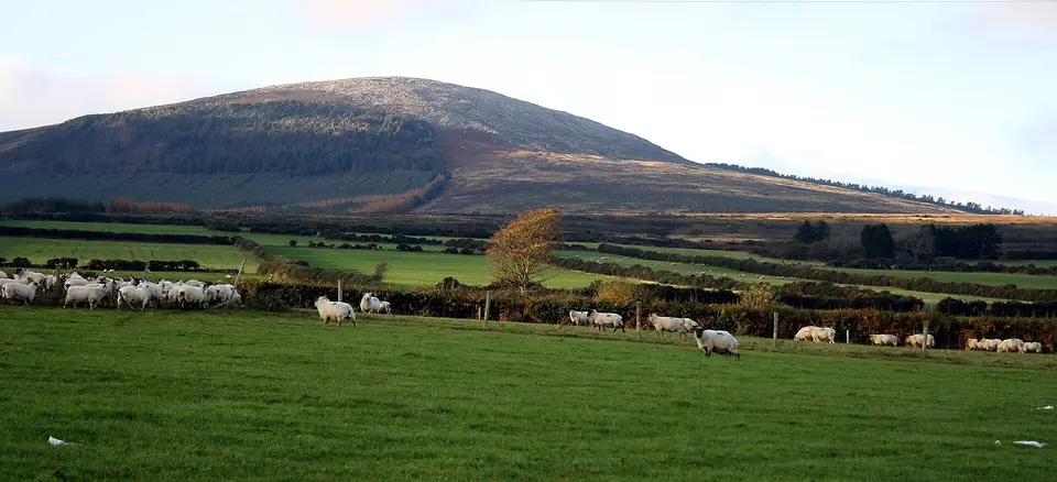 Black Rock Mountain, Blackstairs Mountains, County Wexford, Ireland