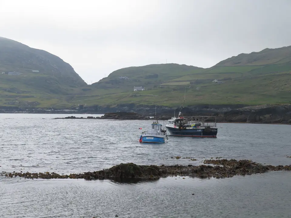 Boats in the bay