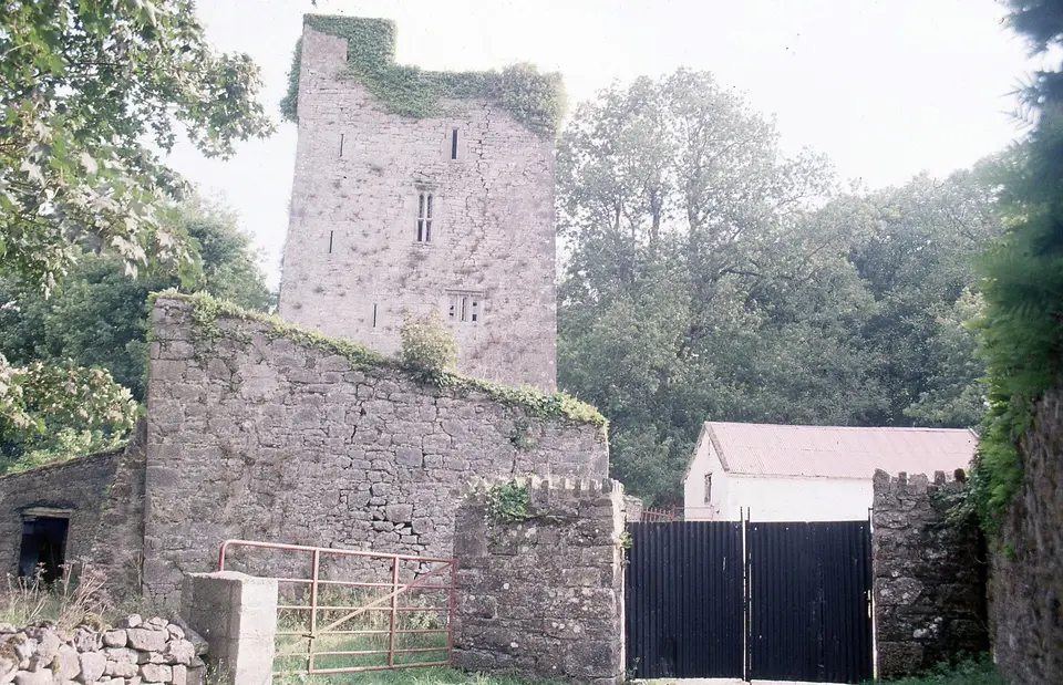 Borris or Black Castle thrice named - Twomileborris, County Tipperary