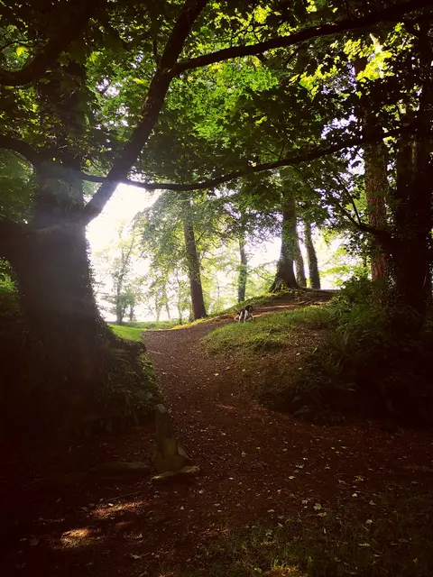 Photographer - Sinead Cahalan