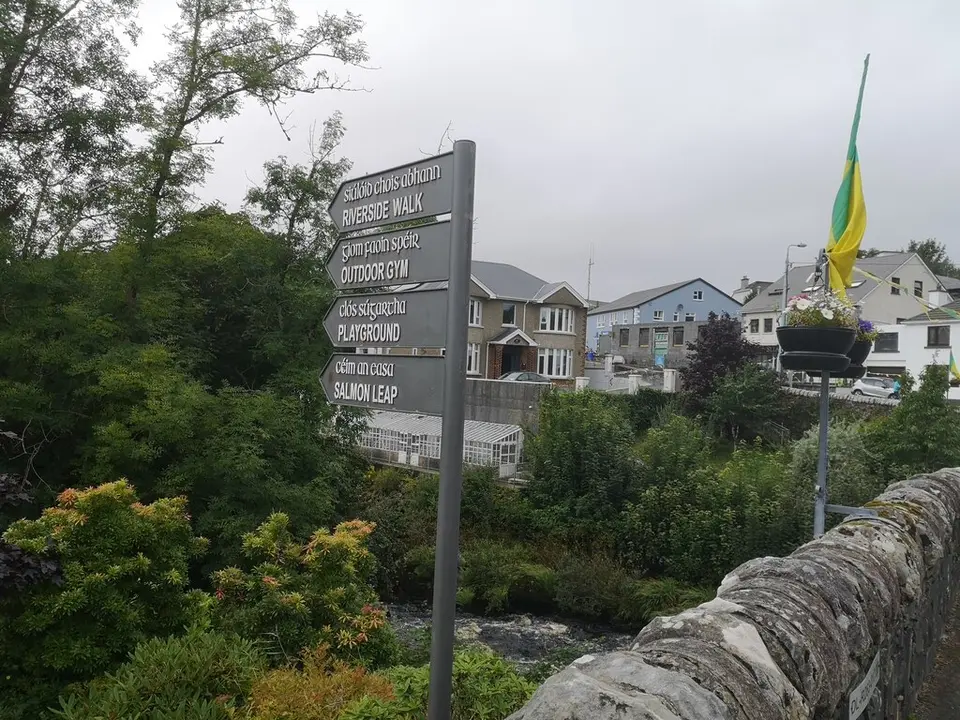 Bridge at Carrick