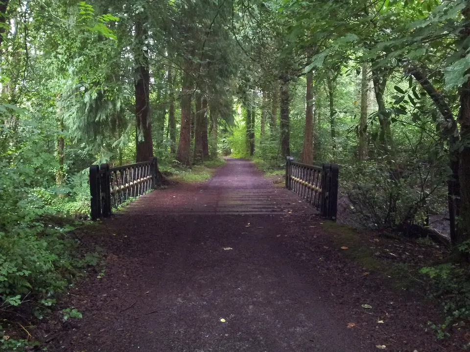 Bridge in Mountbellew Demense Woodland, east Co. Galway