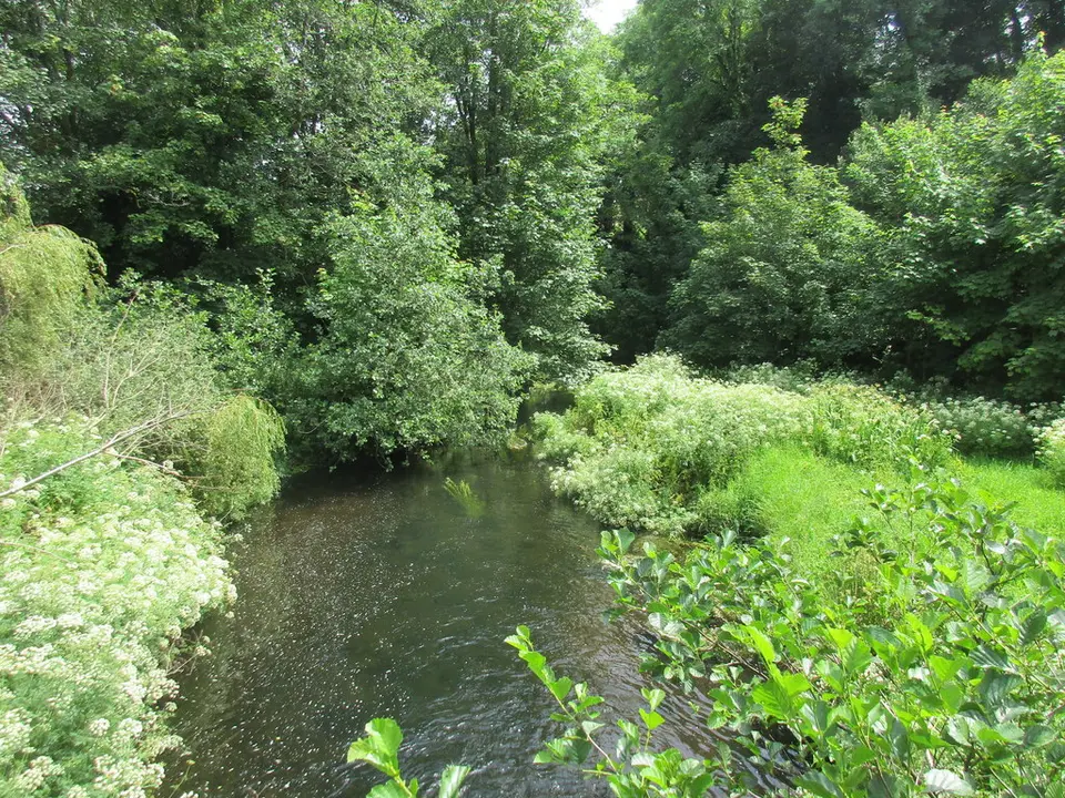 Buingea River at Ballymichael Bridge