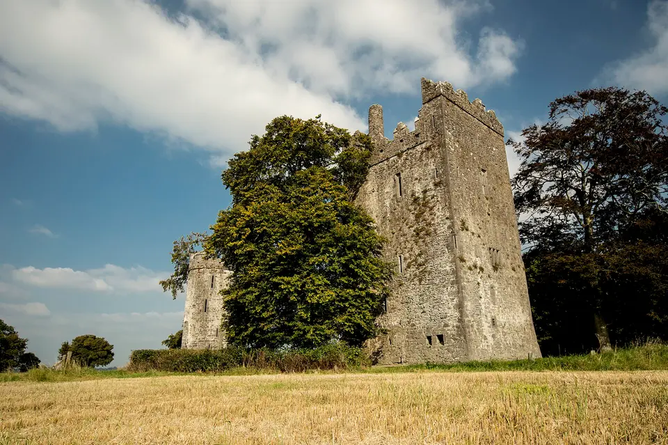 Burnchurch Castle, Co Kilkenny