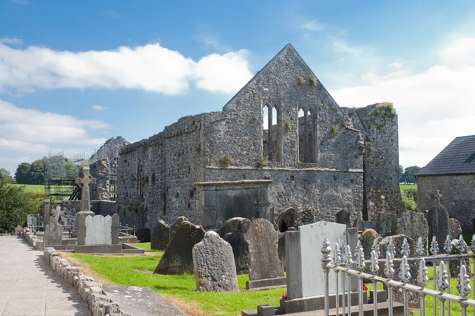 Buttevant Friary, looking south-east.