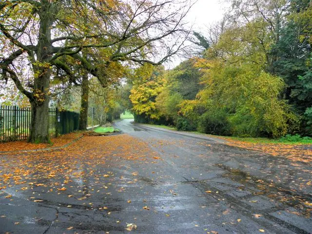 Car parking area near Lough Muckno