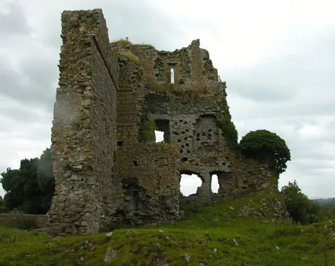 Carrick Castle, County Kildare