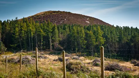 The summit of Carrickgollogan, a hill in County Dublin, Ireland