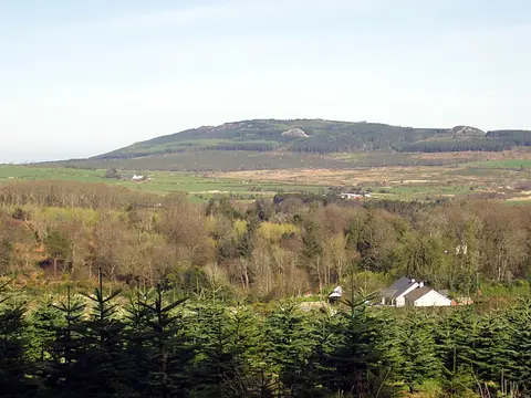 Carrick Mountain, near Glenealy, County Wicklow, Ireland. Viewed from 4 km southwest of the summit.