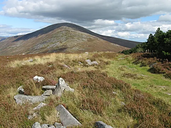 Carrigalachan Summit Small cairn at summit of Carrigalachan looking towards Blackstairs MOuntain.