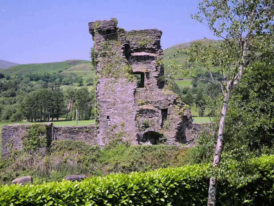 Carriganass Castle