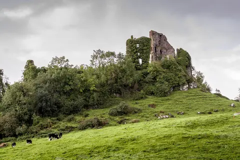 Carrigogunnell Castle