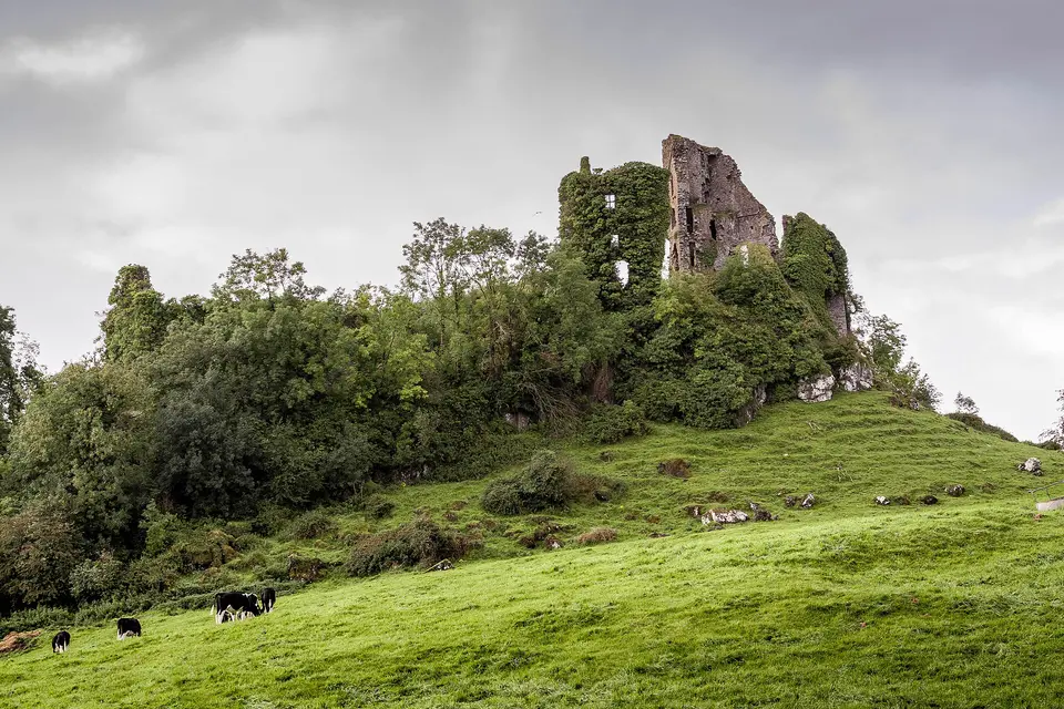 Carrigogunnell Castle