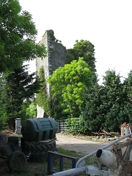 Castle and Farm Machinery Ballynaboley Castle and farm machinery about 4 Km E of Bennetsbridge.
