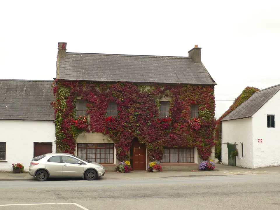Castlebridge, Co. Wexford, Ireland
