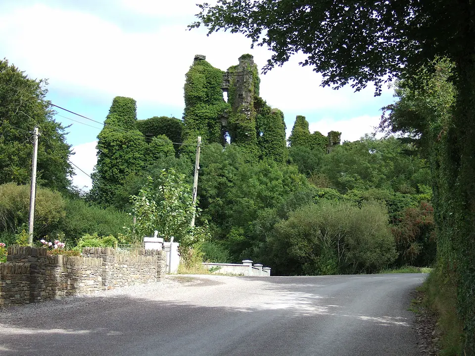 Castlemore Castle The ivy clad ruins of this castle are situated about one mile northeast of Crookstown off the R585. These remains now guard the entrance to the site of a quarry.